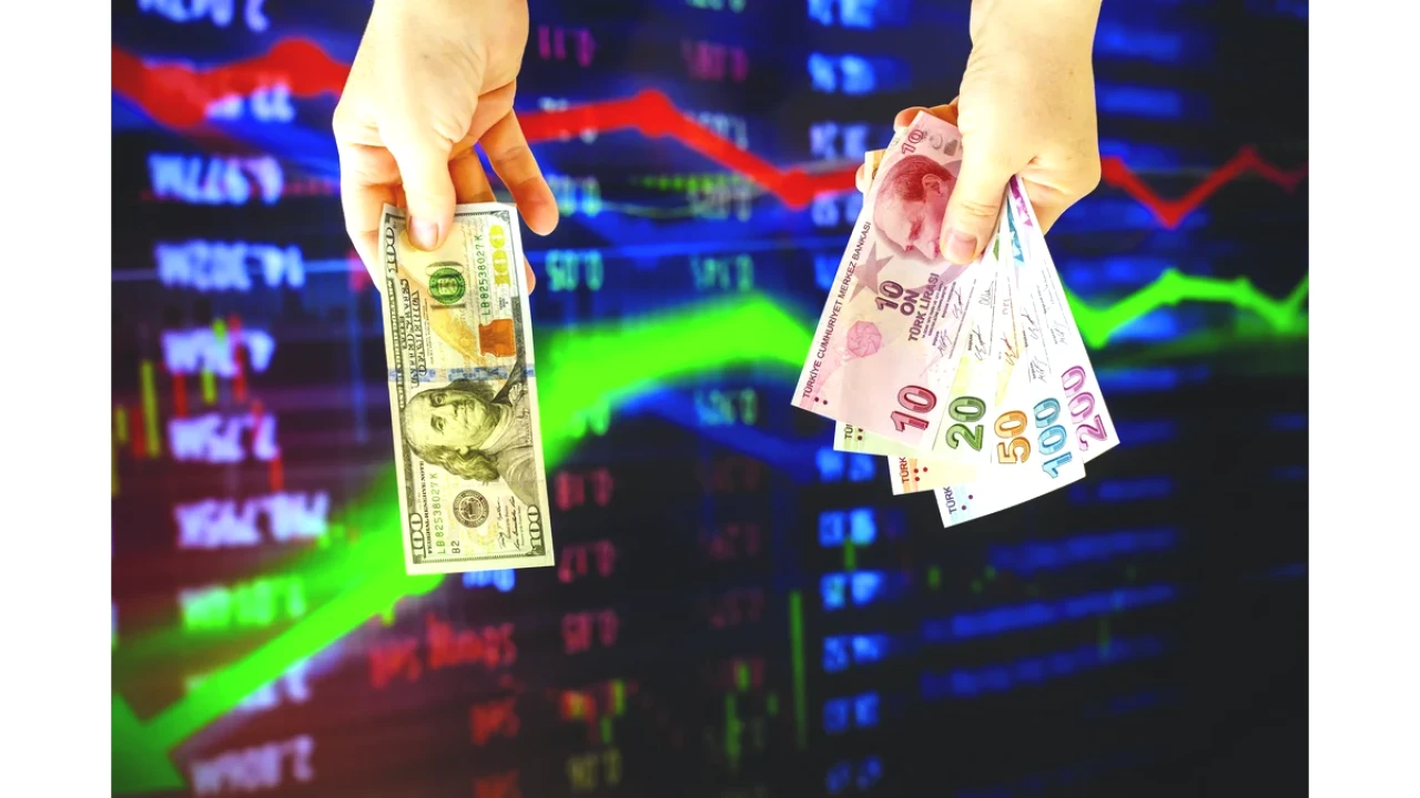 Vatandaş Dövize Değil TL'ye Koştu! Mevduat Bir Ayda 7,4 Milyar Dolar Arttı